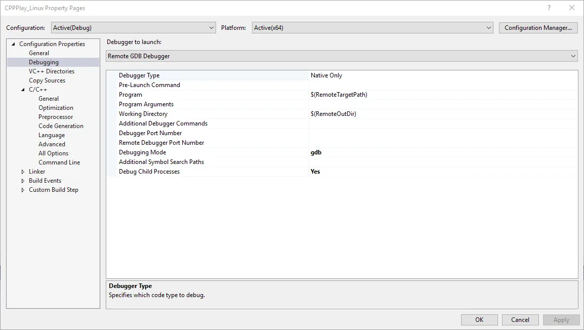 Visual Studio Project Config