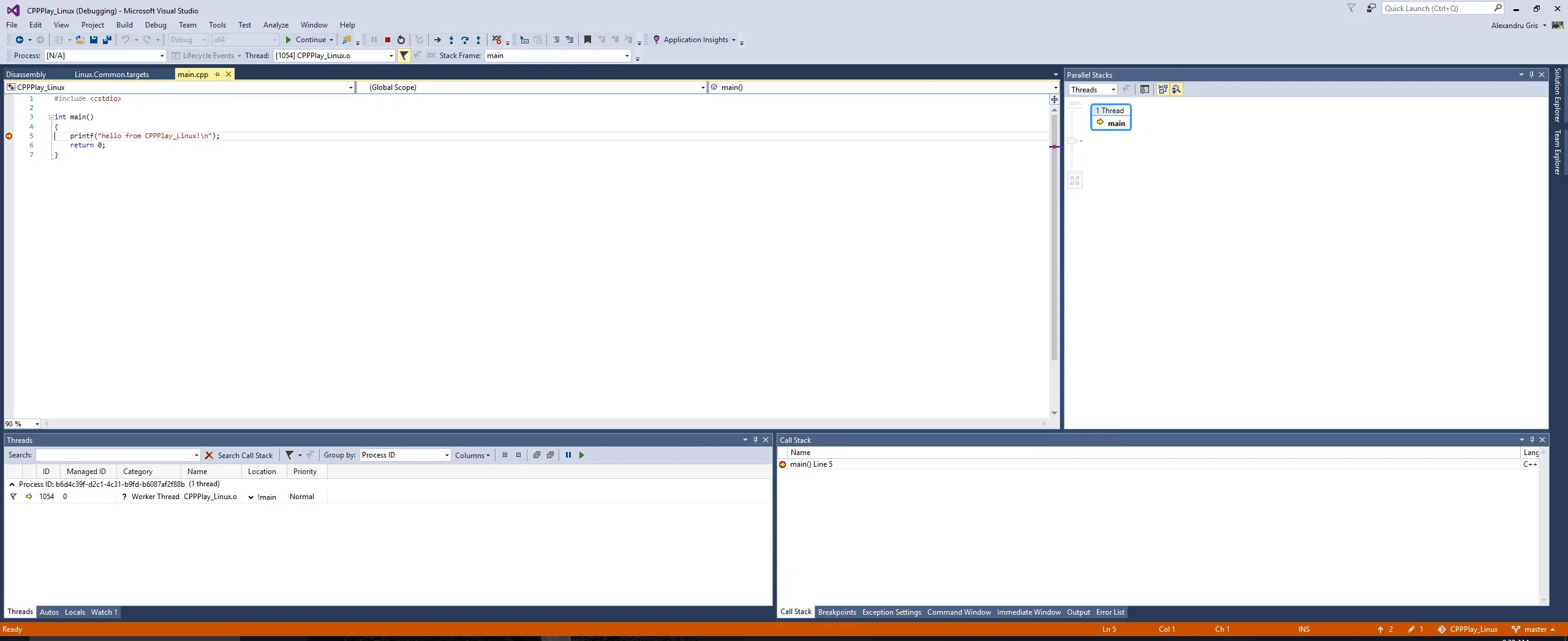 Visual Studio Project Config
