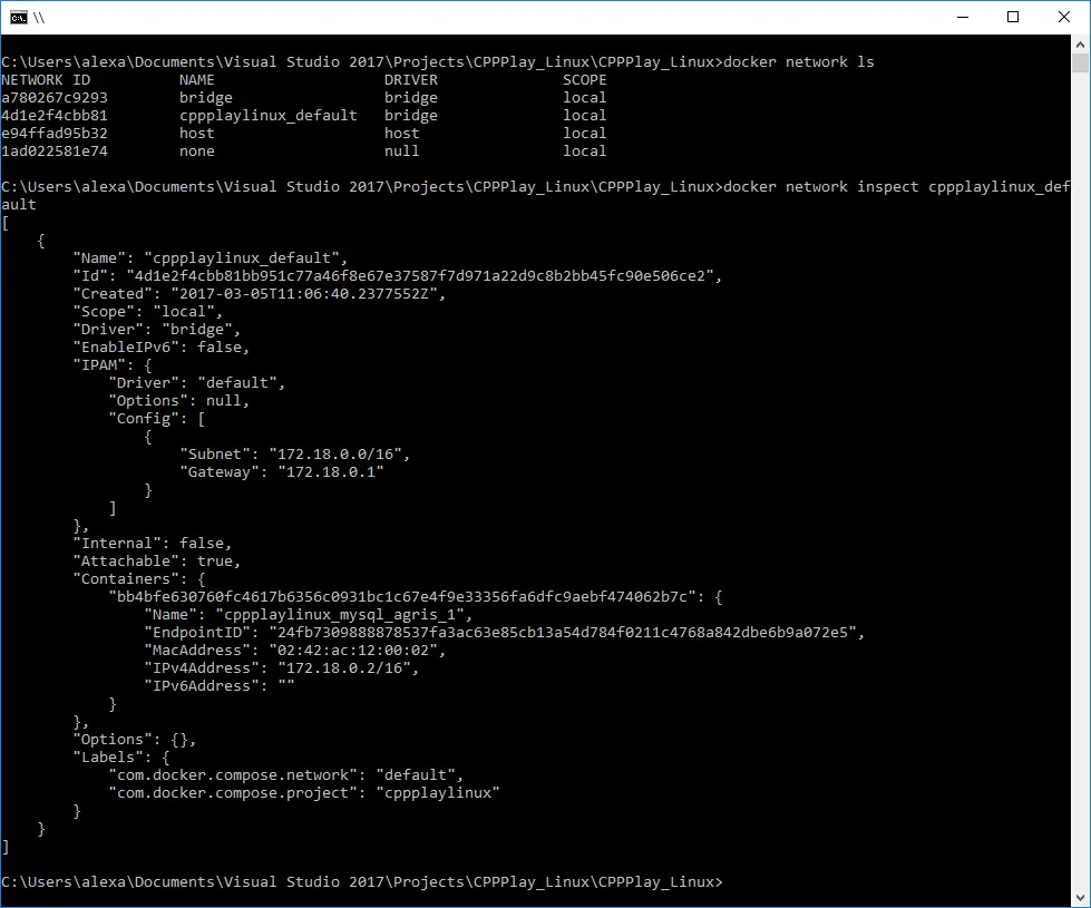 docker network inspect